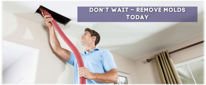 Air Duct Mold Removal in Cambridge MA